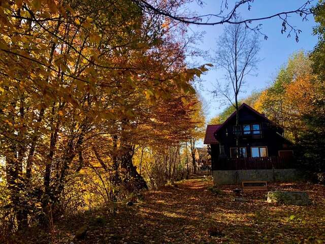 Дома для отпуска Cabana Lac Paltinu si Padure Valea Doftanei Teşila-32