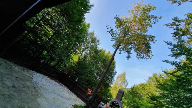 Дома для отпуска Cabana Lac Paltinu si Padure Valea Doftanei Teşila-58