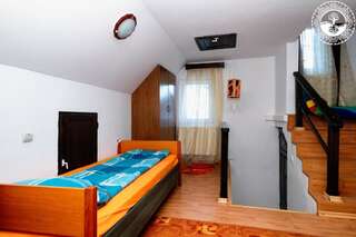 Лоджи Vila Negrele Lupeni Двухместный номер с 1 кроватью или 2 отдельными кроватями и собственной ванной комнатой-10