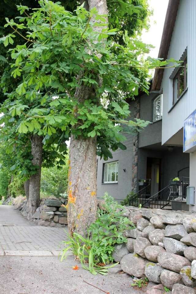 Хостелы Kraavi Guest Hostel Курессааре-24