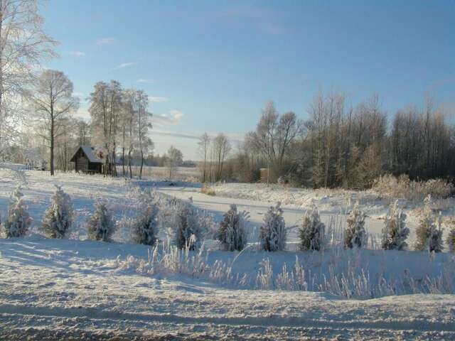 Комплексы для отдыха с коттеджами/бунгало Fishing Village Пярну-61