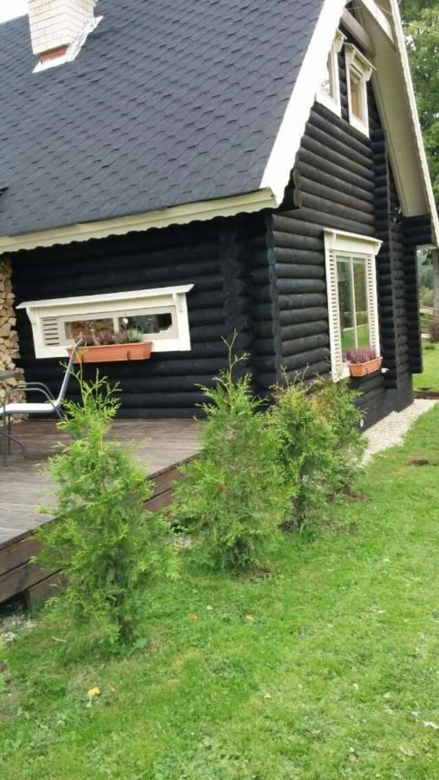 Загородные дома Safari House Отепя-28