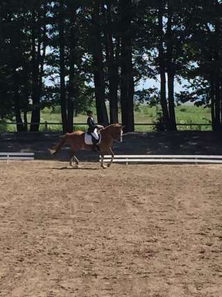 Гостевой дом Sassi Talu Horsefarm Пярнумаа