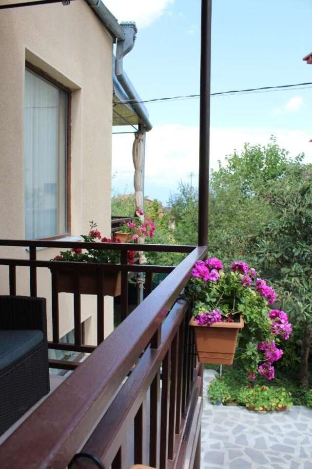 Гостевой дом Tinikos Guest House Телави-19