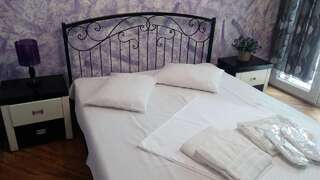 Отель Hotel Isani Тбилиси Двухместный номер с 1 кроватью-1