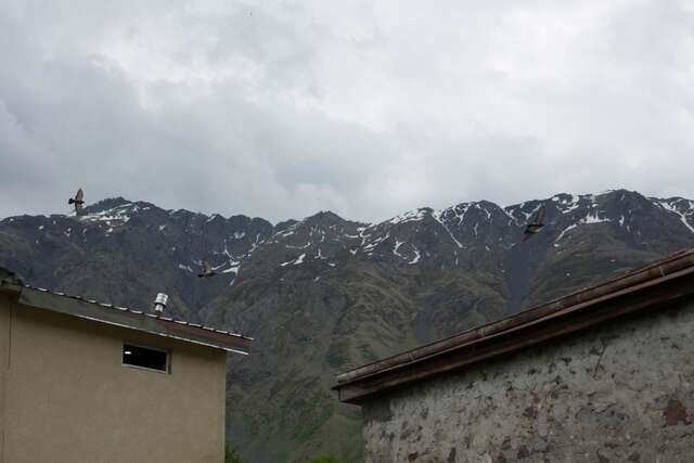 Гостевой дом Panorama Kazbegi Степанцминда-30