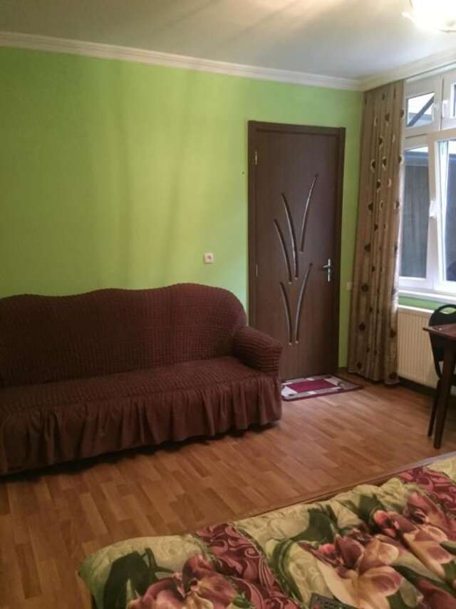 Гостевой дом Guesthouse Borjomi Central Park Боржоми-66