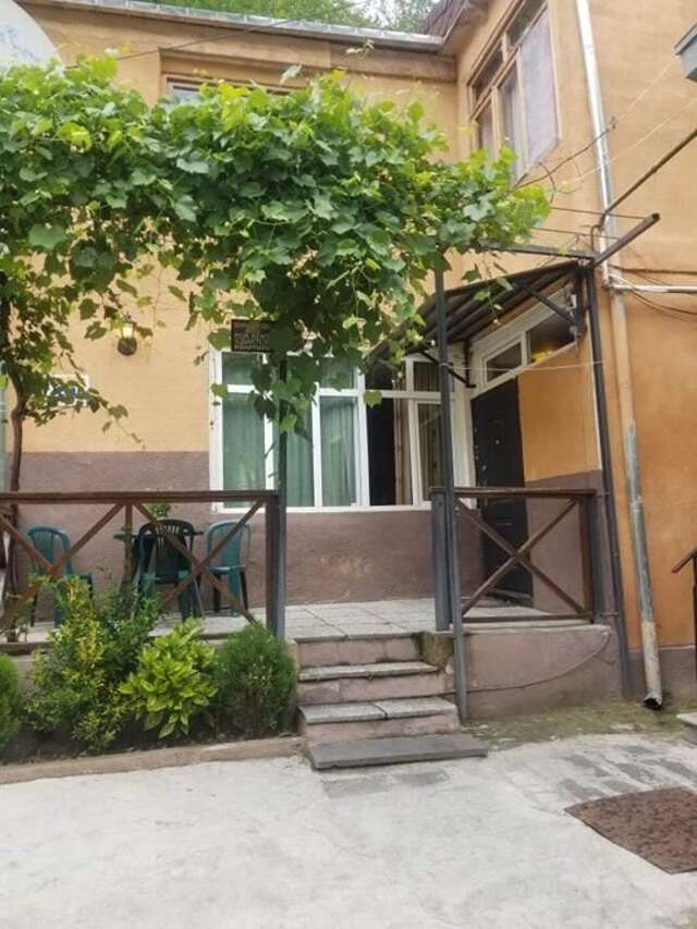 Гостевой дом Guesthouse Borjomi Central Park Боржоми-10