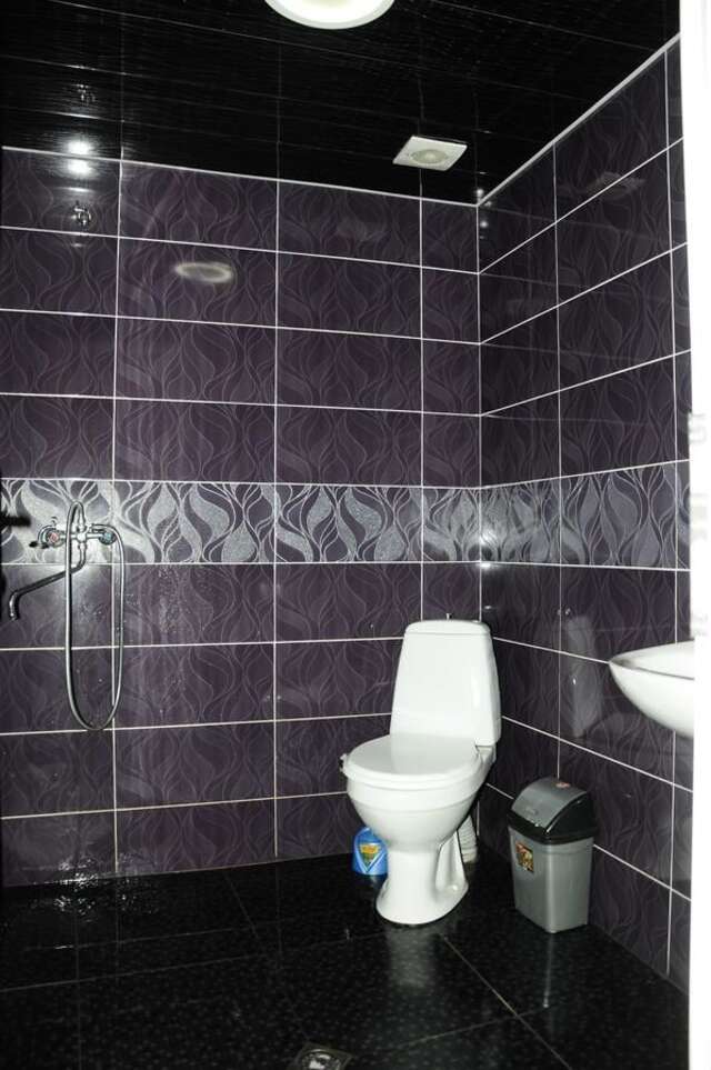 Гостевой дом Guest House Fridon Боржоми-23