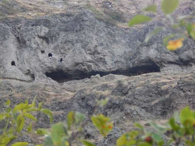 Гостевой дом Nato Gesthouse in Uraveli Ахалцихе-15