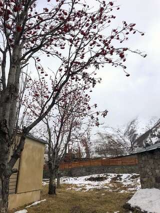 Фото  Garbani Gardens город Степанцминда (38)