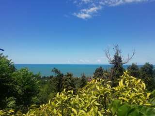 Гостевой дом Villa Natalia Батуми