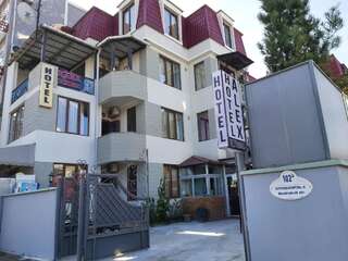 Отель HOTEL ALEX Батуми