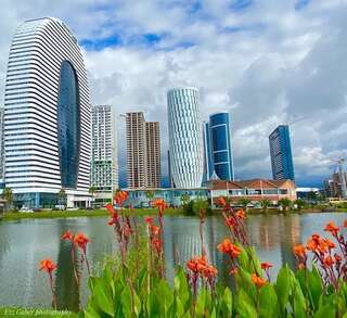 Отель Awesome apartment near the sea Батуми