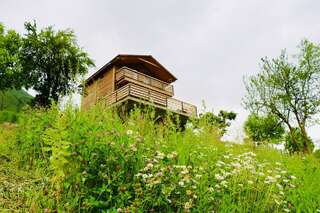 Виллы Villa Dabderr Mestia Местиа