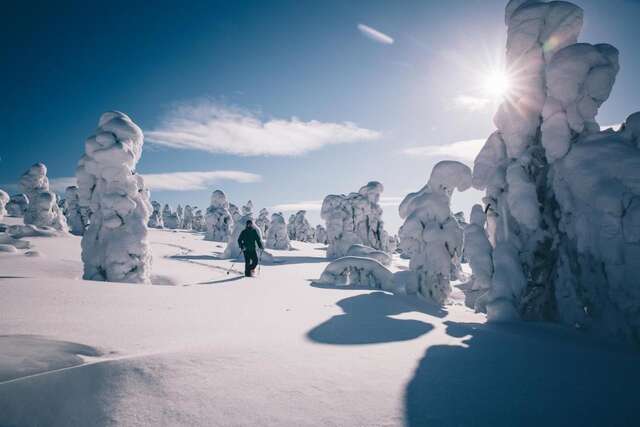 Отель Lapland Hotels Ylläskaltio Экясломполо-26