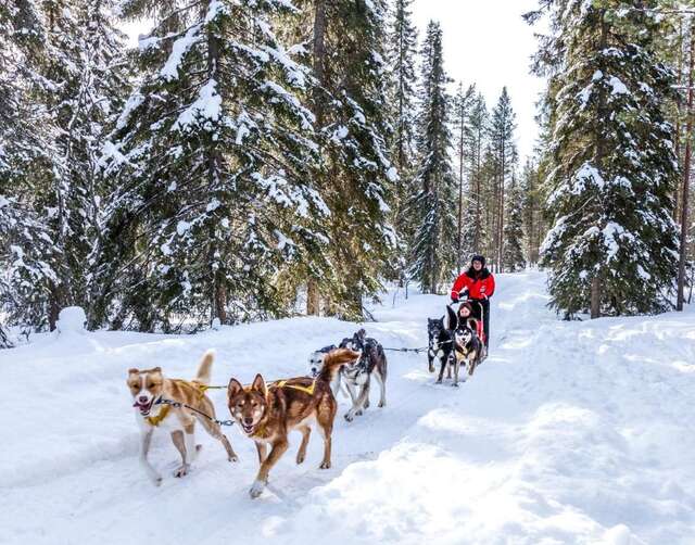 Отель Lapland Hotels Ylläskaltio Экясломполо-27