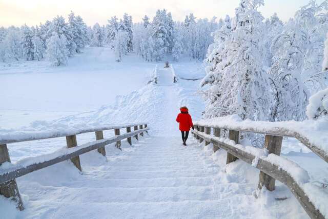 Отель Kakslauttanen Arctic Resort - Igloos and Chalets Саариселькя-17