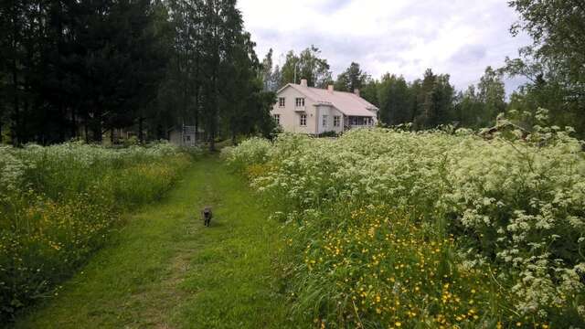Дома для отпуска Tohninmäen Talo Тёюся-46