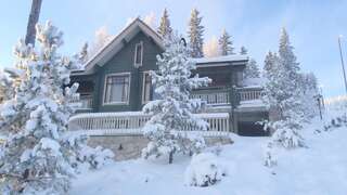 Гостевой дом Tahkonhovi Golden Chalet Тахковуори