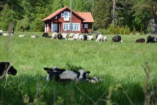 Шале Holiday Cottage Tiira Расеборг Шале с двумя спальнями-6