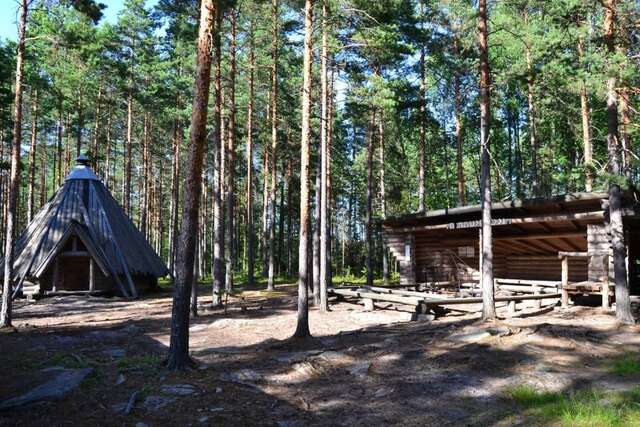 Дома для отпуска Forest Cottage Сякюля-31