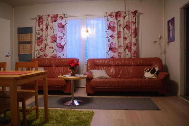 Дома для отпуска Aneen Loma Vacation and Cottages Anetjärvi-42