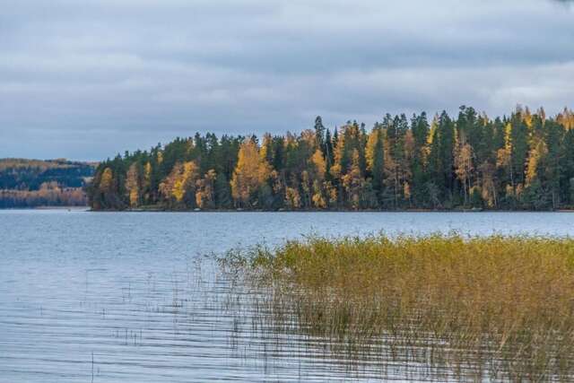 Виллы Villa Tuuliniemi Муураме-149