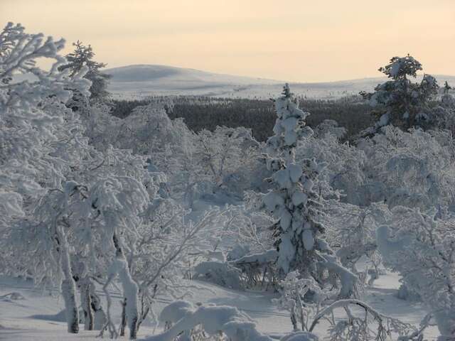 Дома для отпуска Saariselän Marjamajat Саариселькя-35