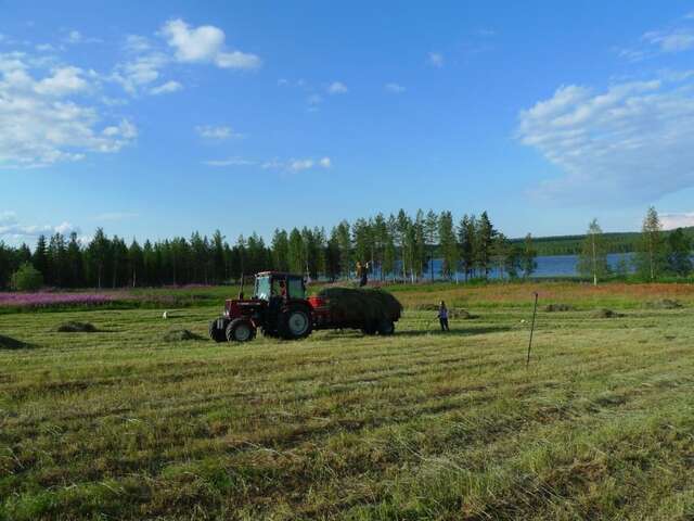 Фермерские дома Heidin Mummola Farm Пелло-20