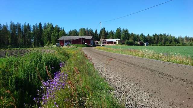 Фермерские дома Maatilamatkailu Ilomäki Перясейняйоки-12