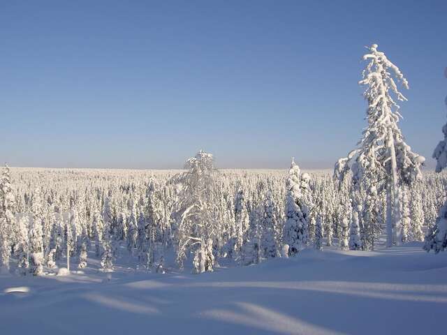 Комплексы для отдыха с коттеджами/бунгало Lapiosalmi Wilderness Center Посио-19