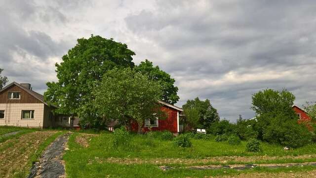 Шале Maatilamatkailu Jänisvaara Колинкюла-69