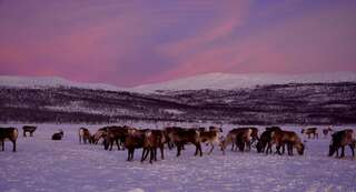 Дома для отпуска Kilpisjärven Tunturimajat Кильписъярви Дом с 3 спальнями-41