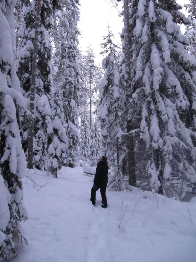 Дома для отпуска Menninkäinen Cottage Rutalahti-6