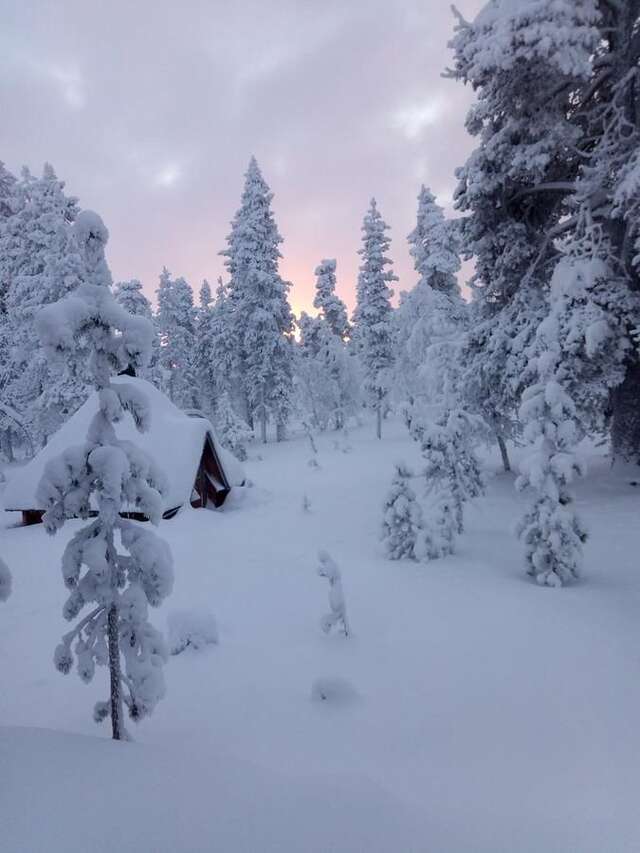 Шале Chalet Arran- Mainiot Majat Саариселькя-20