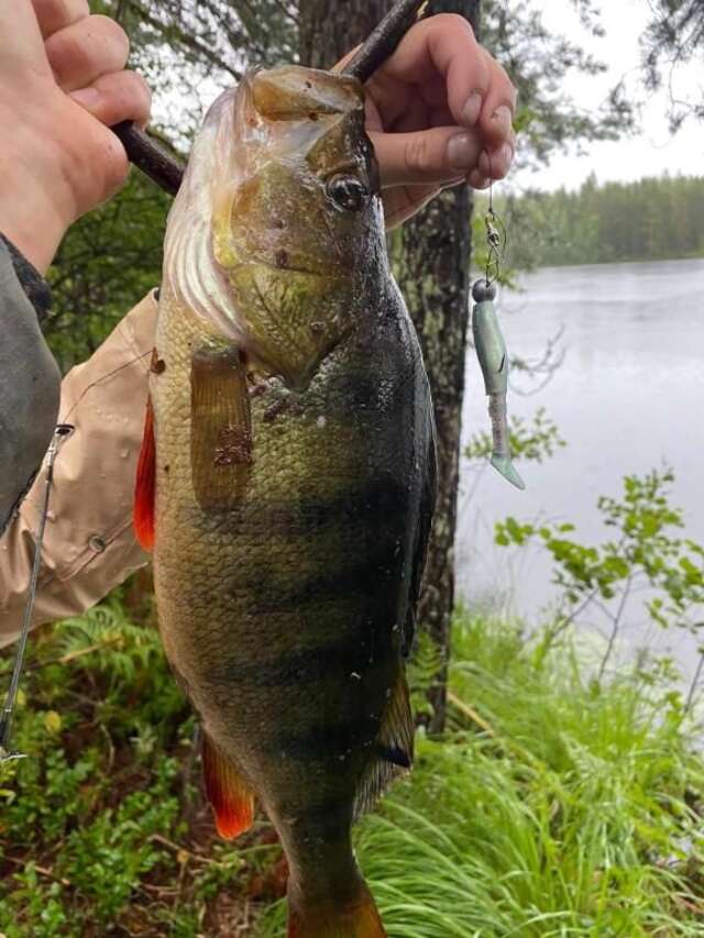 Виллы Saimaa Raikala Vuoriniemi-91