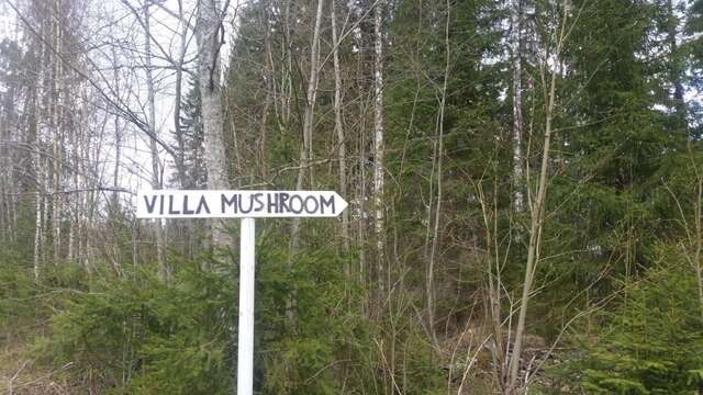 Шале Villa Mushroom Vuoriniemi-37