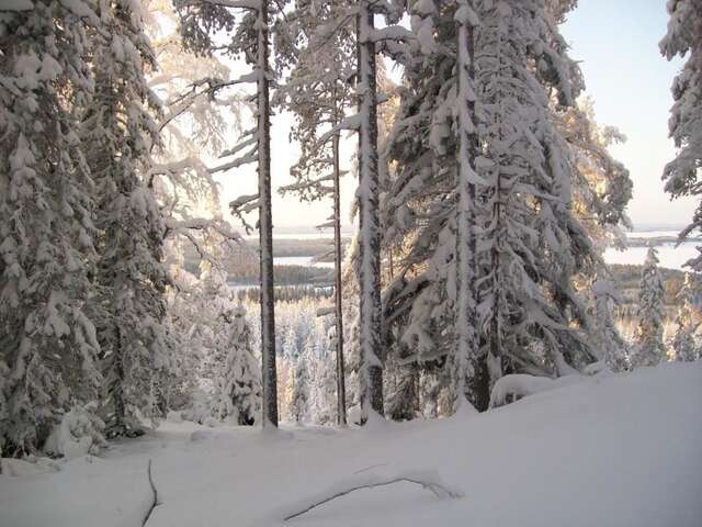 Шале Lake Cottage Jänisvaara Колинкюла-80