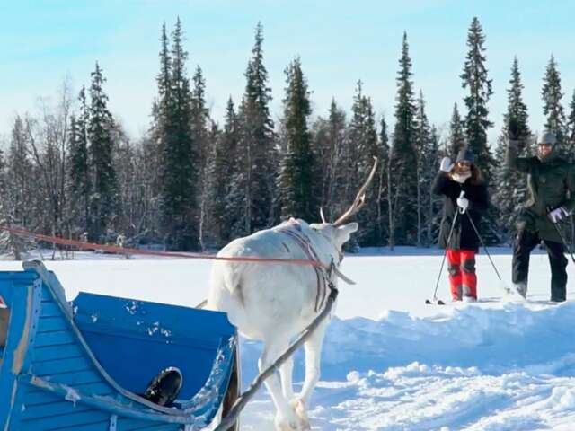 Шале Lapland Lodge Silmäsjärvi Tepsa-22