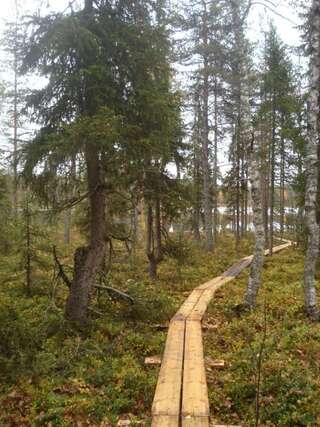 Дома для отпуска Toola-Lodge Сиоте Вилла с 1 спальней-42