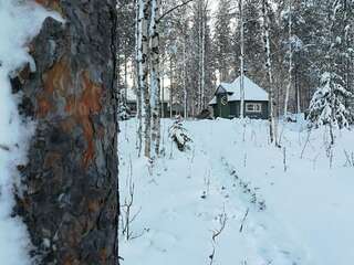 Дома для отпуска Villa Wästä-Räkki Луосто Дом для отпуска-3