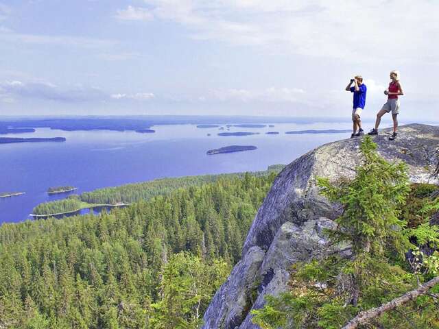 Шале Chalet Läahdeke - FIJ016 Vehvilä-20