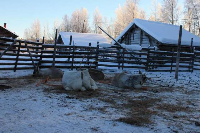 Курортные отели Levi Northern Lights Huts Леви-25