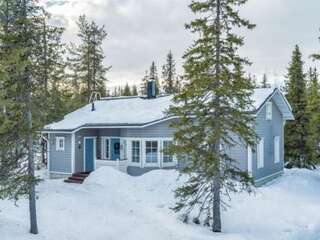 Дома для отпуска Holiday Home Vuosselinhovi a Рука