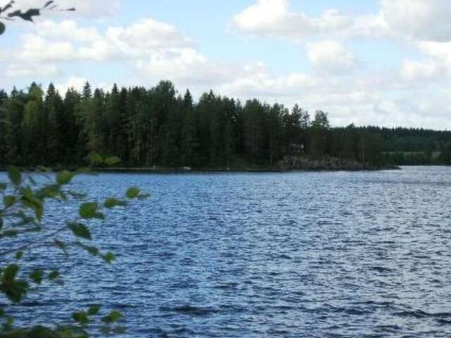 Дома для отпуска Holiday Home Korpilahti Tiirinlahti-9