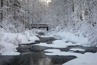 Курортные отели Apukka Resort Apukka Вилла-7