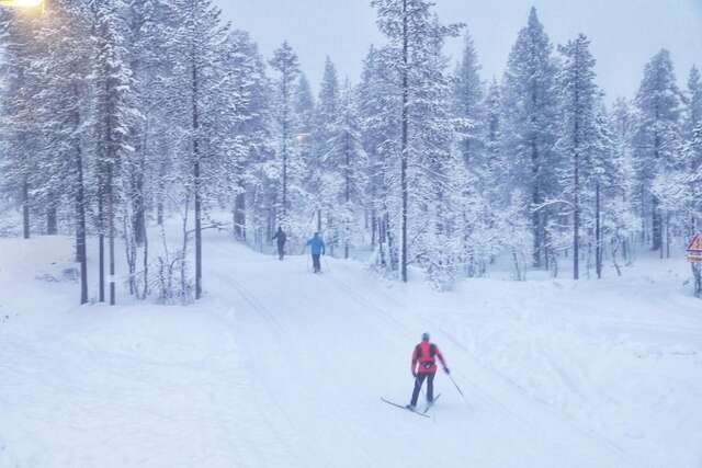 Шале Chalet Kuukkeli AuroraCabins Саариселькя-40