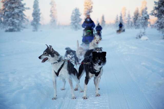 Шале Huskylodge Саариселькя-50