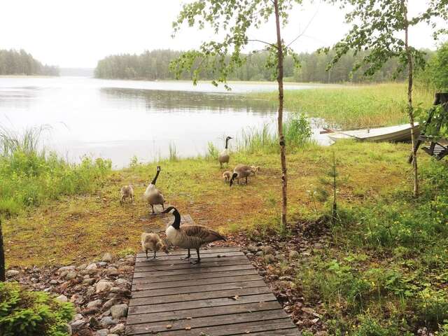 Загородные дома Saimaanharju Country House Vehkasalo-36